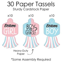 Big Dot Of Happiness Baby Gender Reveal - 90 Chain Links And 30 Paper Tassels Decoration Kit - Team Boy Or Girl Party Paper Chains Garland - 21 Feet -Party Planers Store GUEST 4cba1adf e091 431c 8b18 25d9b13002bf