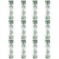 Big Dot Of Happiness Boho Botanical - No Snap Greenery Party Table Favors - DIY Cracker Boxes - Set Of 12 -Party Planers Store GUEST 503ebe75 36e5 4613 8d9d bf5ac90be1a9