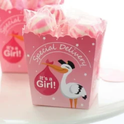 Big Dot Of Happiness Girl Special Delivery - Party Mini Favor Boxes - Pink It's A Girl Stork Baby Shower Treat Candy Boxes - Set Of 12 -Party Planers Store GUEST 8308ed18 ecbf 4b17 a959 0953bf38b0be