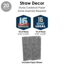 Big Dot Of Happiness Boy 16th Birthday - Sweet Sixteen Birthday Party Favors And Cupcake Kit - Fabulous Favor Party Pack - 100 Pieces -Party Planers Store GUEST 8ac743d7 b1ee 4b82 9b44 2be34cd33f9e