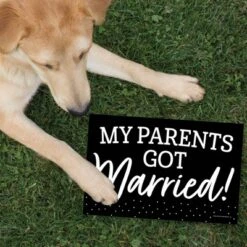 Big Dot Of Happiness Mr. And Mrs. - Photo Prop Signs - Black And White Wedding Or Bridal Shower Announcements - 10 Pieces -Party Planers Store GUEST 92b2643c 29aa 45a0 857e cf58e09d84ea