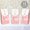Big Dot Of Happiness Bride Squad - Rose Gold Bridal Shower Or Bachelorette Gift Favor Bags - Party Goodie Boxes - Set Of 12 2 Big Dot Of Happiness Bride Squad - Rose Gold Bridal Shower Or Bachelorette Gift Favor Bags - Party Goodie Boxes - Set Of 12 -Party Planers Store GUEST 9554b3b9 10c8 4b62 ab48 02e9937c7280