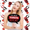 Big Dot Of Happiness Karate Master - Banner And Photo Booth Decorations - Martial Arts Birthday Party Supplies Kit - Doterrific Bundle
