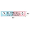 Big Dot Of Happiness Baby Gender Reveal - Team Boy Or Girl Party Decorations Party Banner