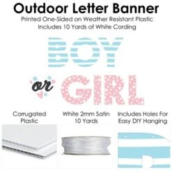 Big Dot Of Happiness Baby Gender Reveal - Team Boy Or Girl Party Decorations - Boy Or Girl - Outdoor Letter Banner 10 Big Dot Of Happiness Baby Gender Reveal - Team Boy Or Girl Party Decorations - Boy Or Girl - Outdoor Letter Banner -Party Planers Store GUEST c3051583 27e9 47a9 8d70 711baa920f36